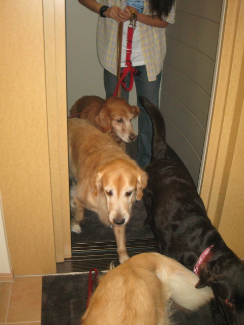 ファイル 352-3.jpg