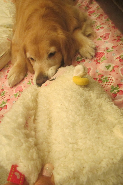 ファイル 3524-2.jpg