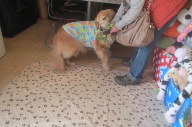 ファイル 3524-3.jpg