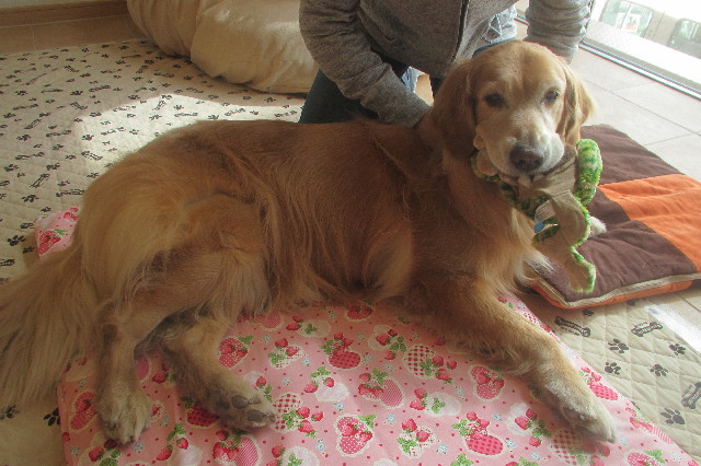 ファイル 3524-4.jpg