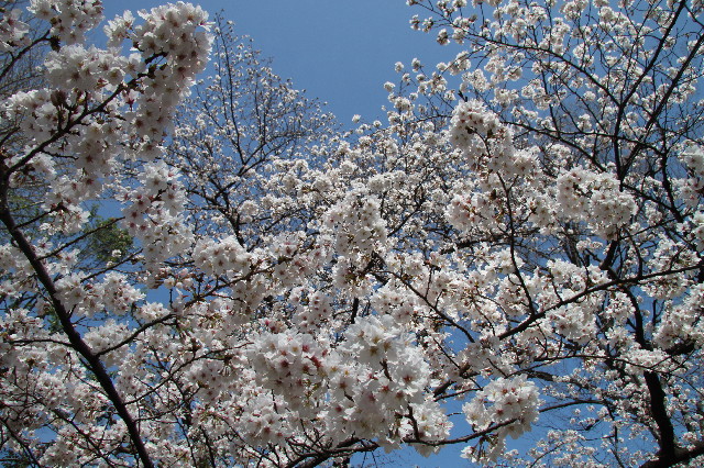 ファイル 3525-3.jpg