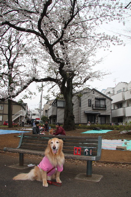 ファイル 3526-1.jpg