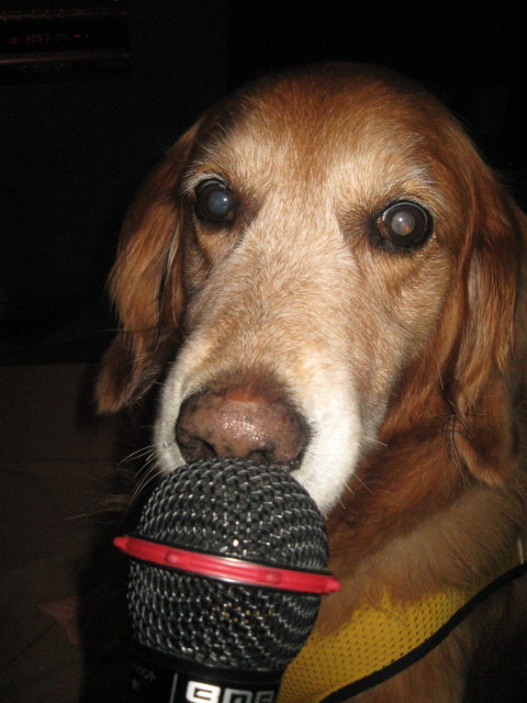 ファイル 353-1.jpg