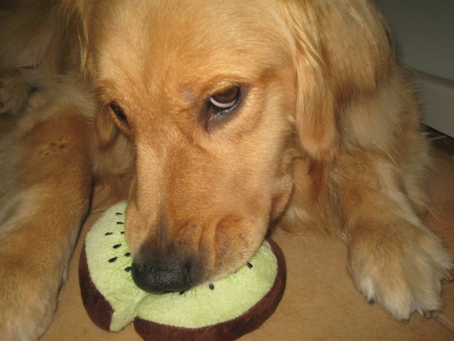 ファイル 353-5.jpg