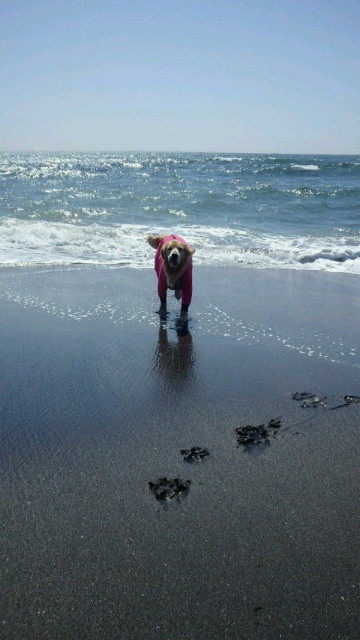 ファイル 3531-3.jpg