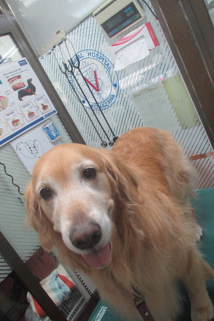 ファイル 3533-2.jpg