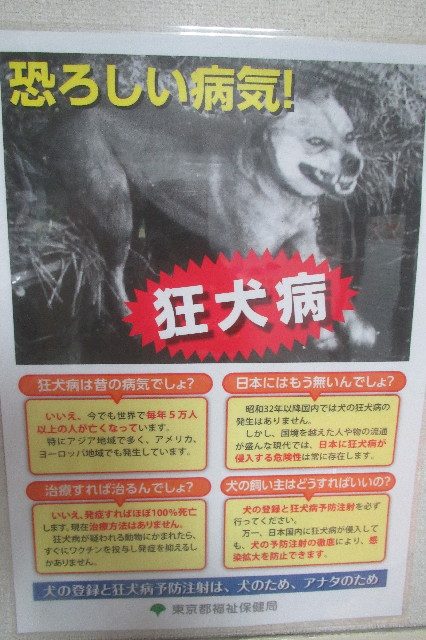 ファイル 3533-4.jpg