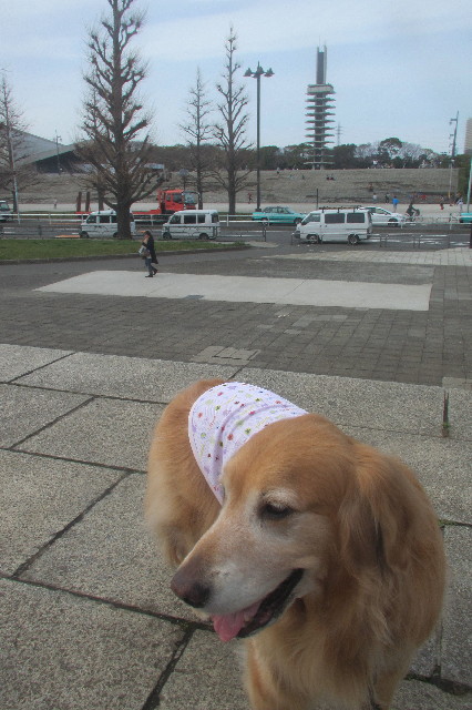 ファイル 3534-2.jpg