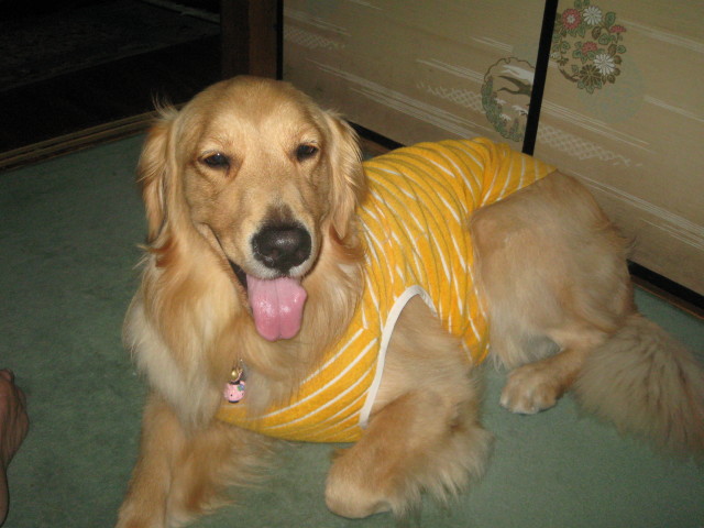 ファイル 354-4.jpg