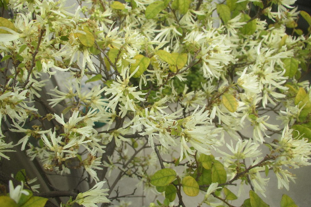 ファイル 3540-2.jpg