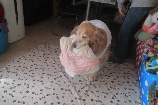 ファイル 3541-3.jpg