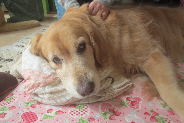 ファイル 3541-4.jpg