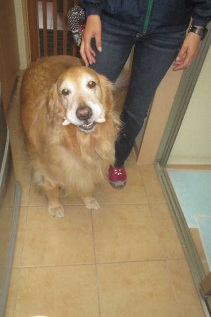 ファイル 3542-2.jpg