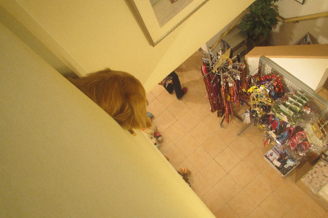 ファイル 3542-3.jpg