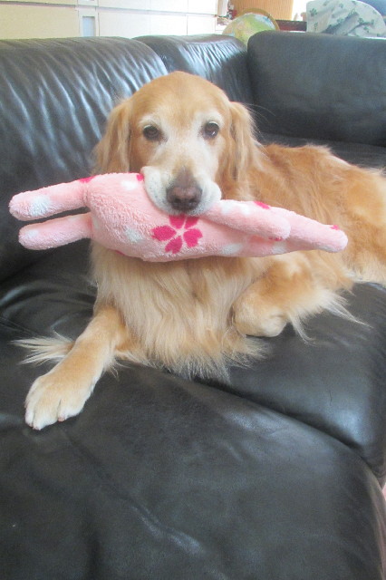 ファイル 3543-4.jpg