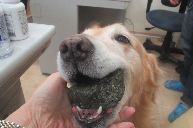 ファイル 3543-5.jpg