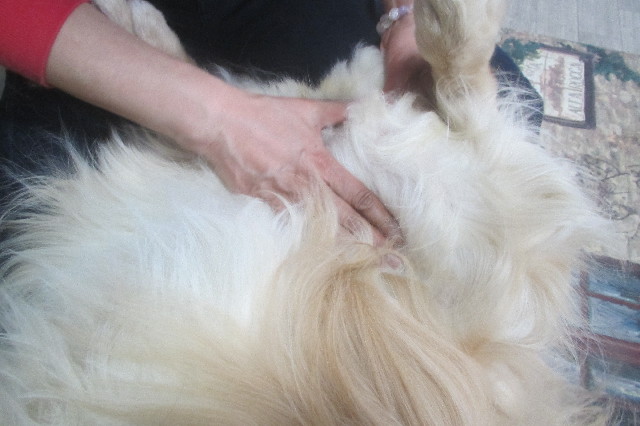 ファイル 3546-3.jpg