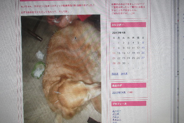 ファイル 3547-1.jpg