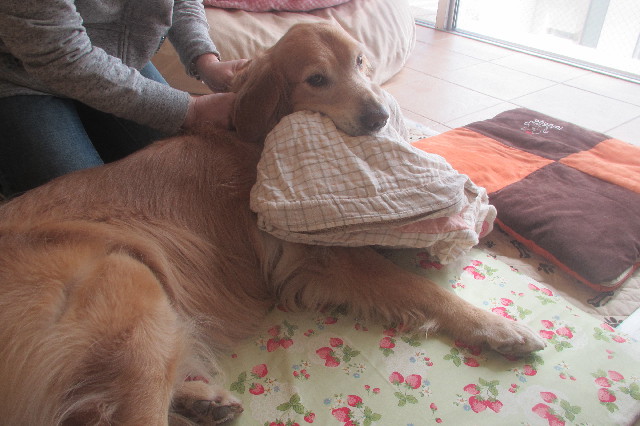 ファイル 3547-4.jpg