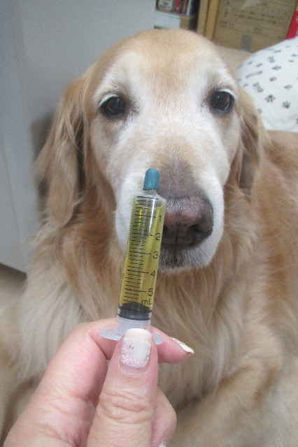 ファイル 3547-5.jpg