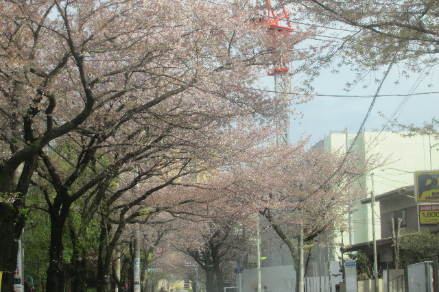 ファイル 3548-2.jpg