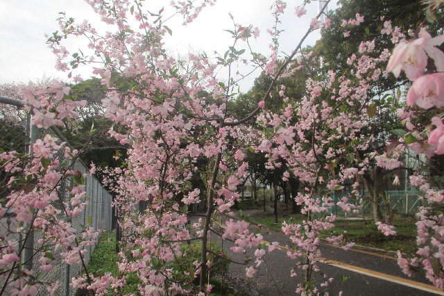 ファイル 3548-4.jpg