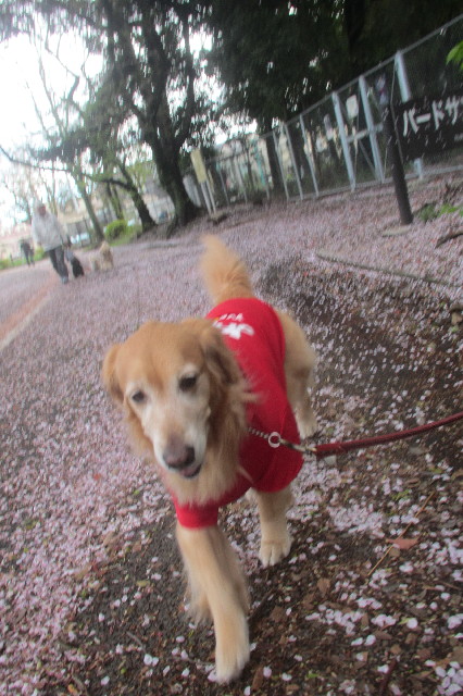 ファイル 3548-5.jpg