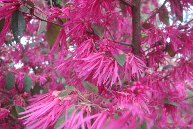 ファイル 3549-2.jpg