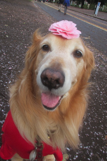 ファイル 3549-5.jpg