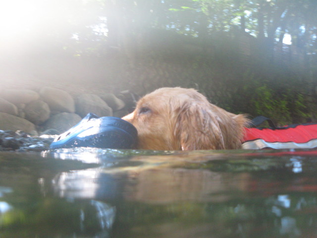 ファイル 355-3.jpg