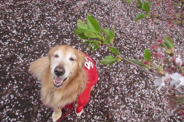 ファイル 3551-5.jpg