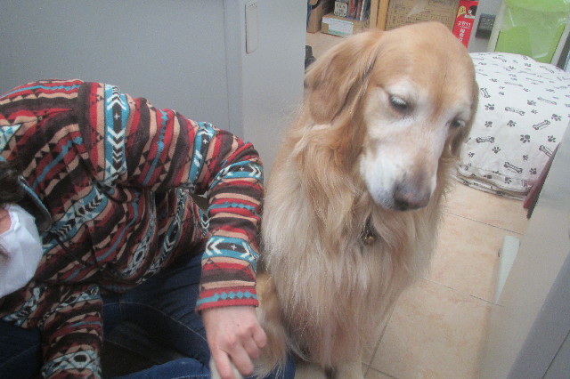 ファイル 3555-3.jpg