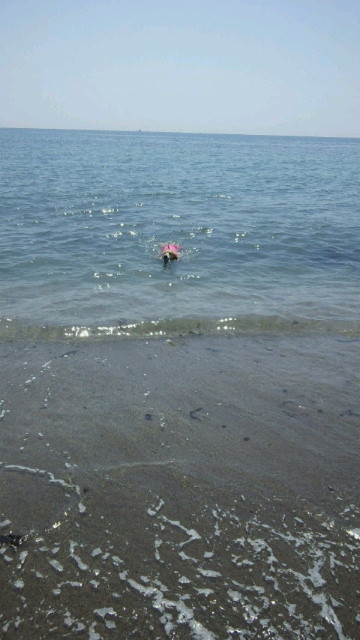 ファイル 3556-2.jpg