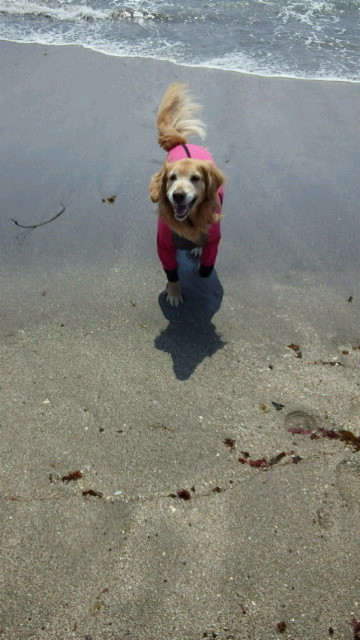 ファイル 3556-3.jpg