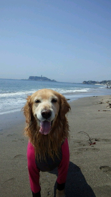 ファイル 3556-5.jpg