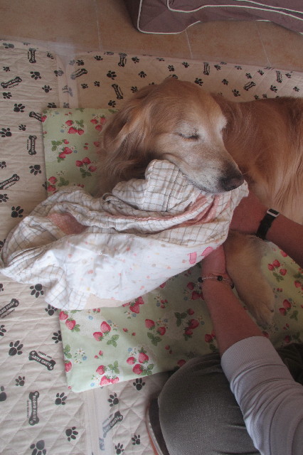 ファイル 3557-5.jpg