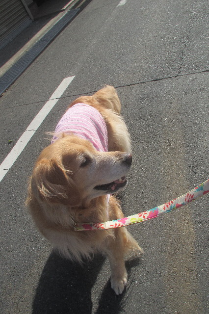 ファイル 3558-1.jpg