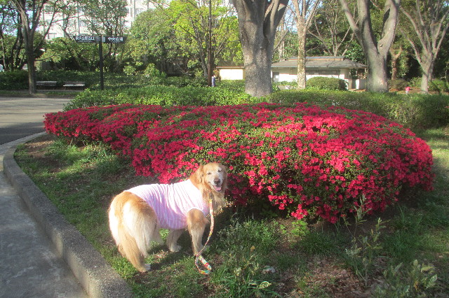 ファイル 3559-1.jpg