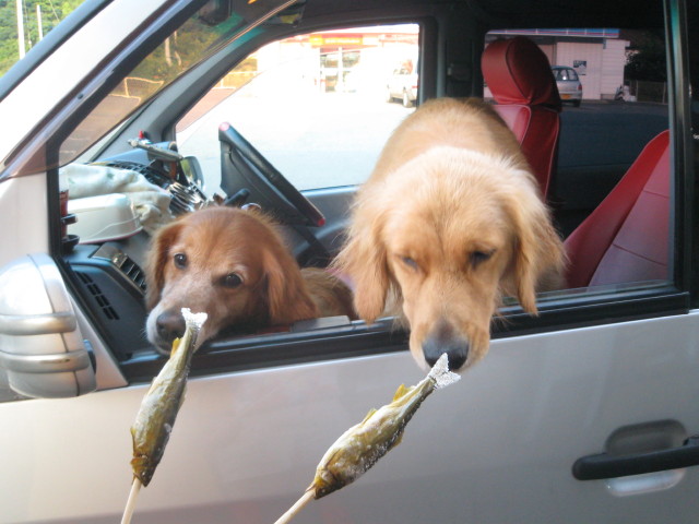 ファイル 356-5.jpg