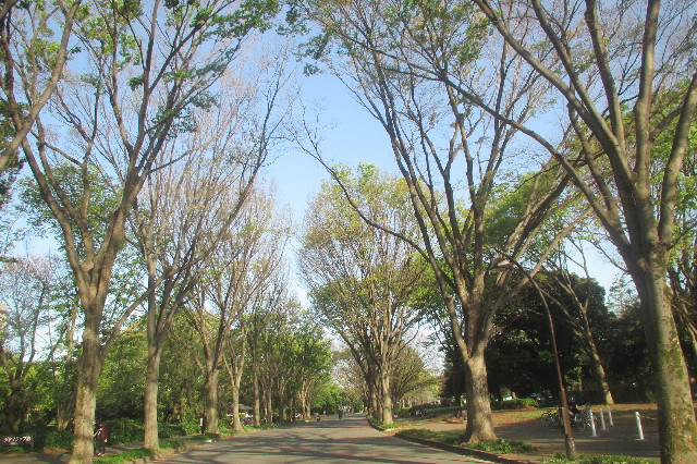 ファイル 3560-5.jpg