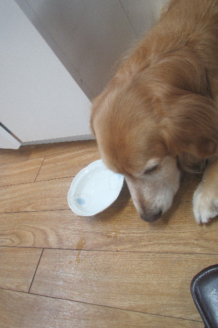 ファイル 3561-1.jpg