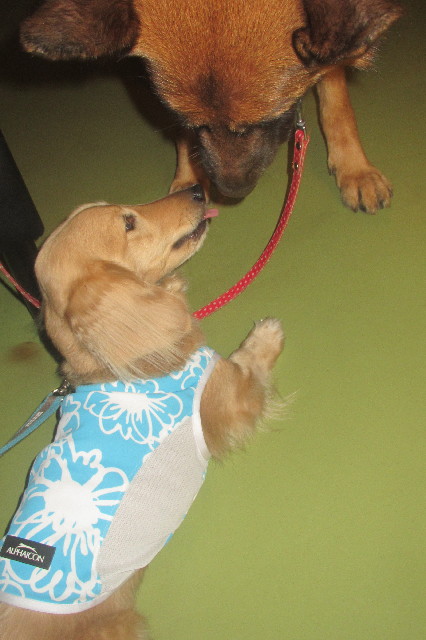 ファイル 3562-1.jpg