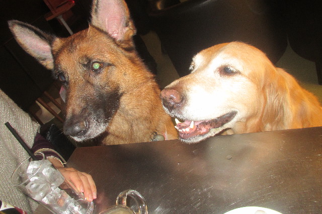 ファイル 3562-2.jpg