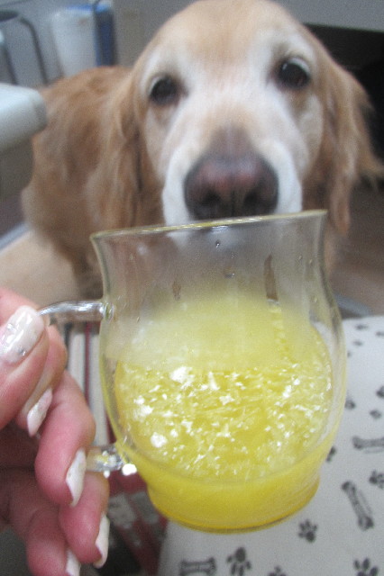 ファイル 3563-2.jpg