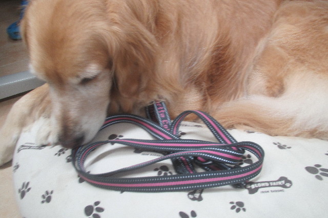 ファイル 3563-3.jpg