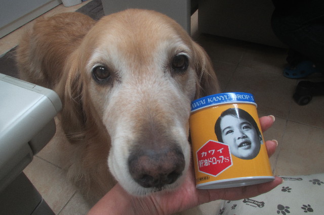 ファイル 3563-5.jpg