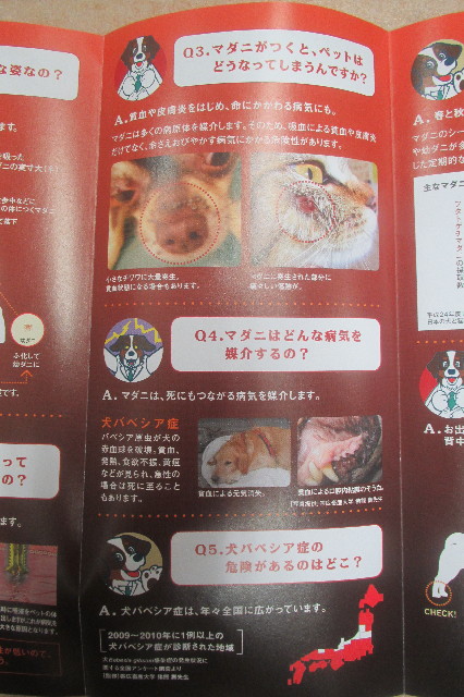 ファイル 3564-4.jpg