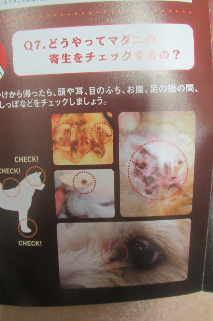 ファイル 3564-5.jpg