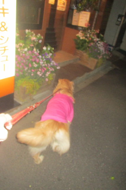 ファイル 3565-1.jpg