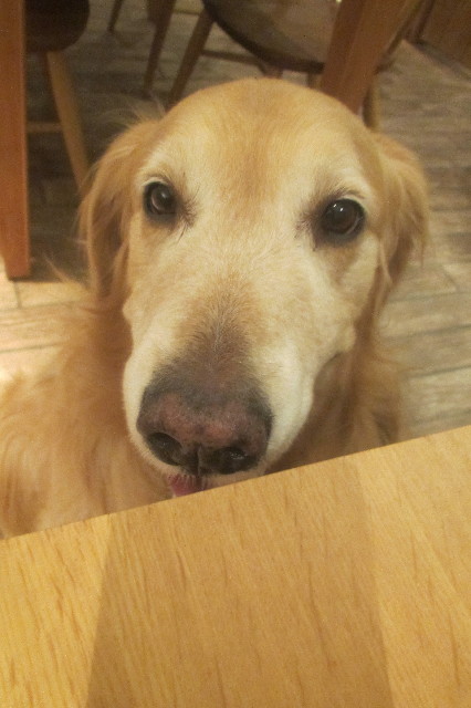 ファイル 3566-5.jpg